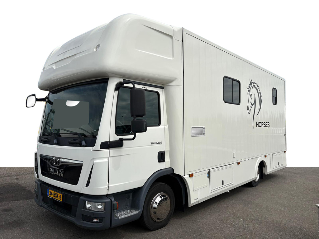 MAN  TGL 8.190 Horse truck 2 Horses + Living Camera 61.047 KM! Paardentruck